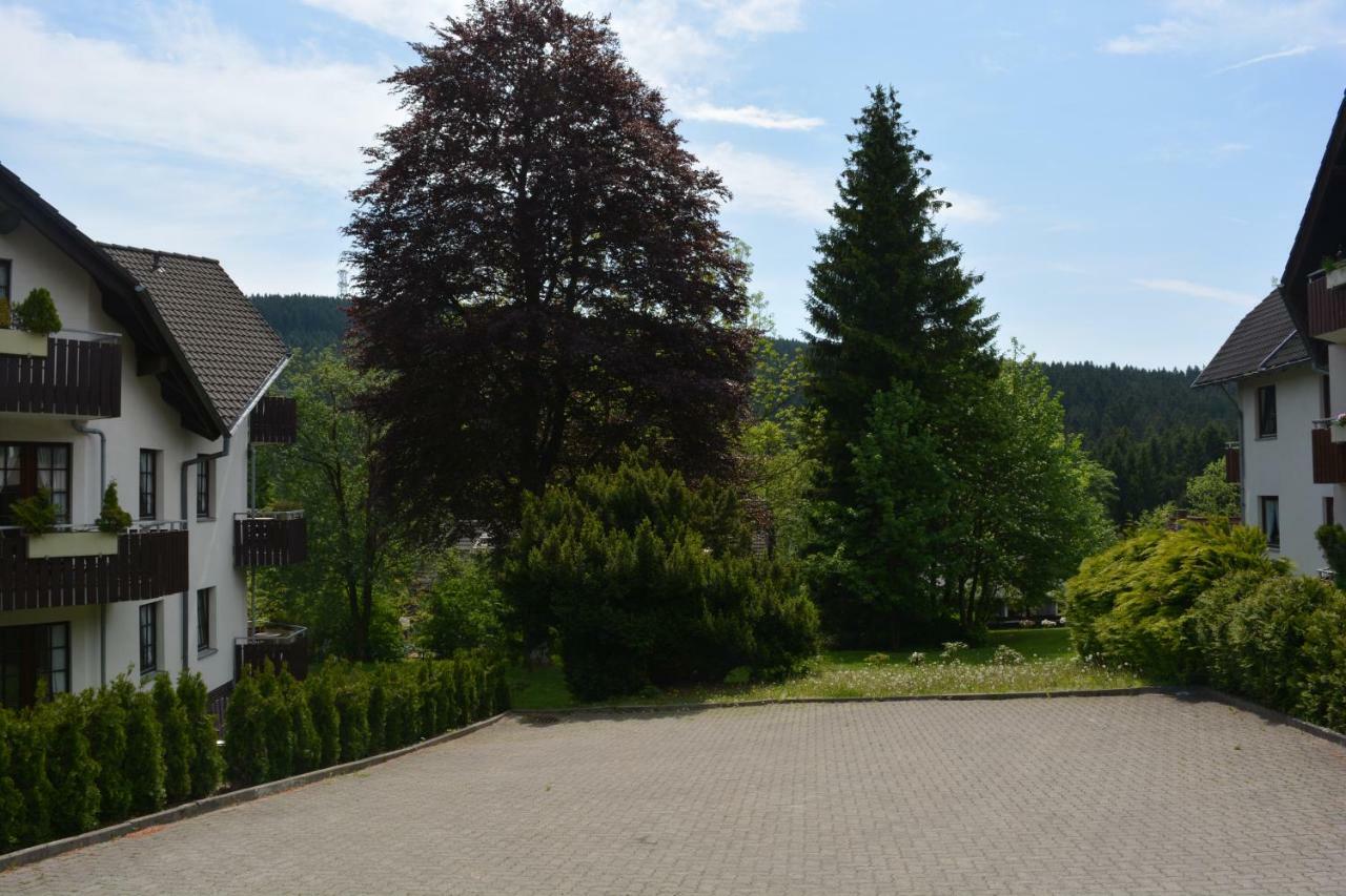 Hoffmann'S Apartment In Der Residenz Bocksbergblick Goslar Dış mekan fotoğraf